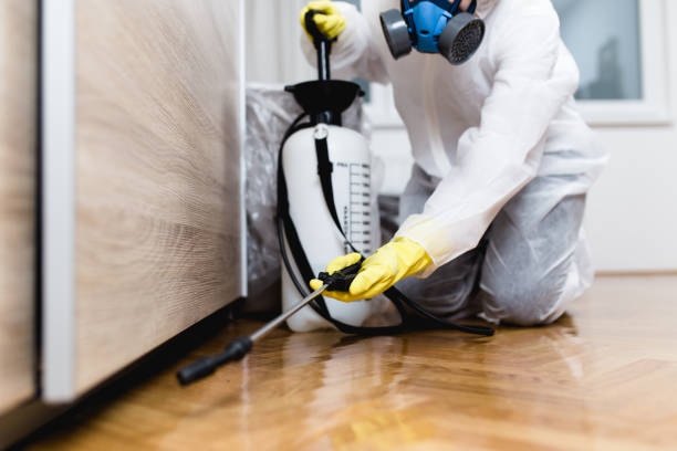 Best Residential Pest Control  in El Reno, OK