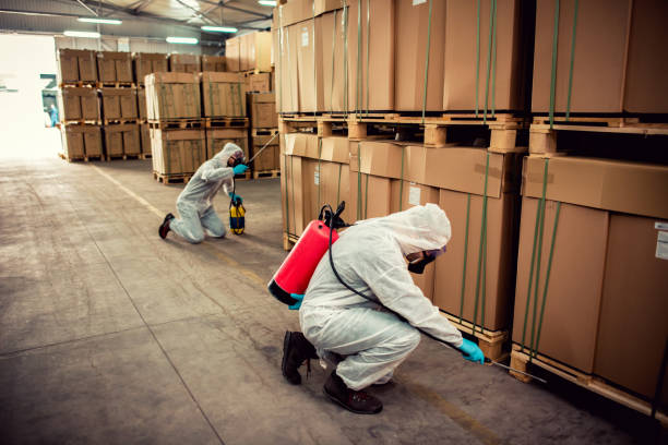 Pest Prevention Services in El Reno, OK
