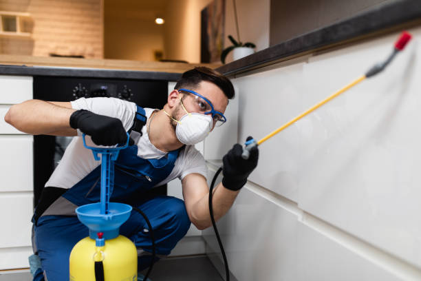 Best Pest Control Near Me  in El Reno, OK