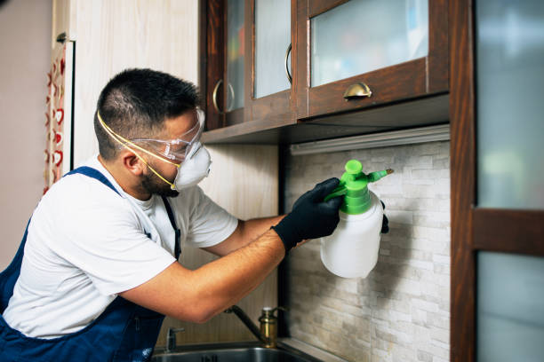 Best Wildlife Control Services  in El Reno, OK