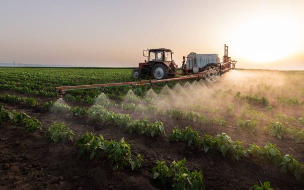Best Pest Removal Services  in El Reno, OK