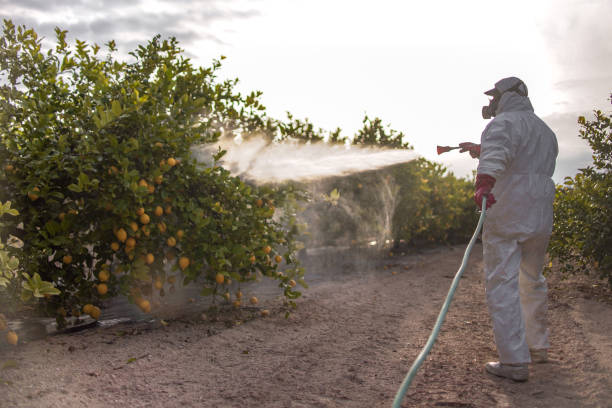 Trusted El Reno, OK Pest Control Experts