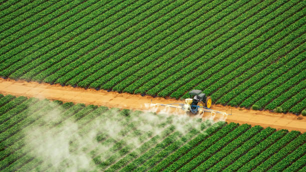 Best Termite Control Services  in El Reno, OK