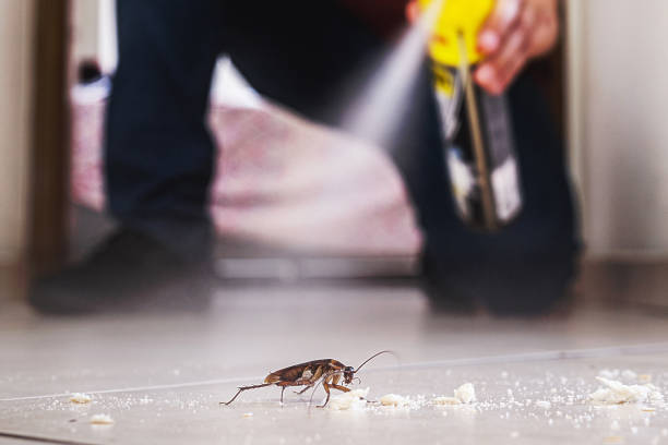 Best Exterminator Services  in El Reno, OK