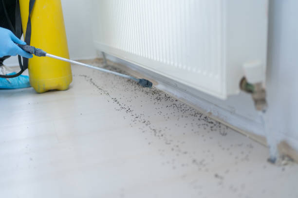 Best Mosquito Control Services  in El Reno, OK